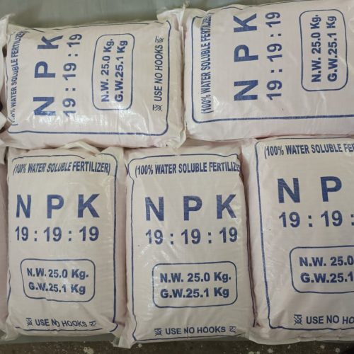 NPK 19